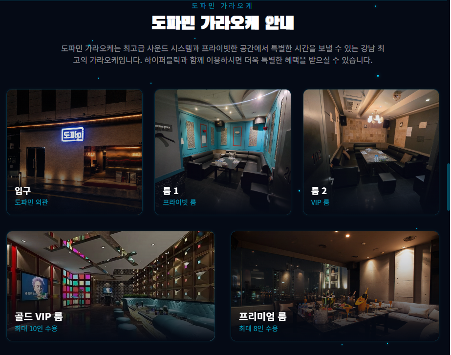 강남도파민 내부 공간 구성: 입구, 룸 1, 룸 2, 골드 VIP 룸, 프리미엄 룸